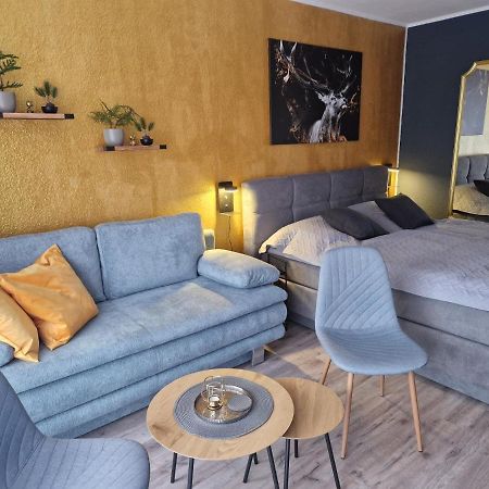 Apartment Am Bocksberg II กอสลาร์ ภายนอก รูปภาพ