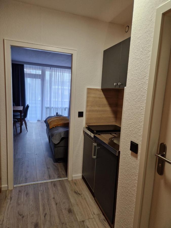 Apartment Am Bocksberg II กอสลาร์ ภายนอก รูปภาพ