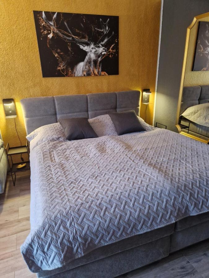 Apartment Am Bocksberg II กอสลาร์ ภายนอก รูปภาพ