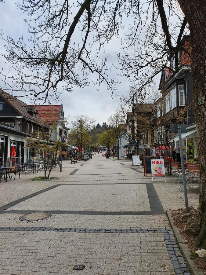 Apartment Am Bocksberg II กอสลาร์ ภายนอก รูปภาพ